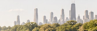 Chicago skyline panorama with green foreground